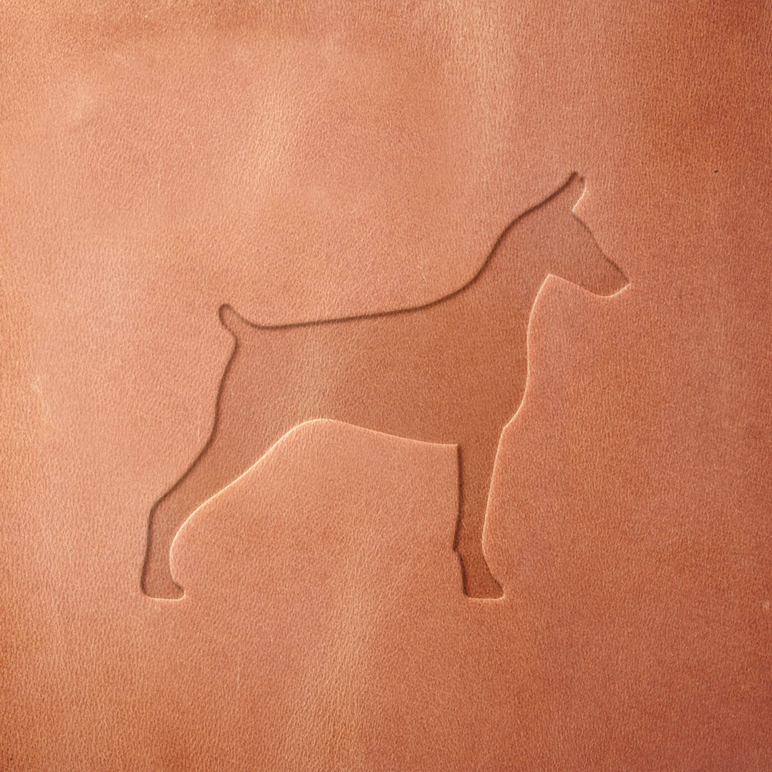 Doberman Pinscher Dog Delrin Leather Stamp - All Good Leather Co.