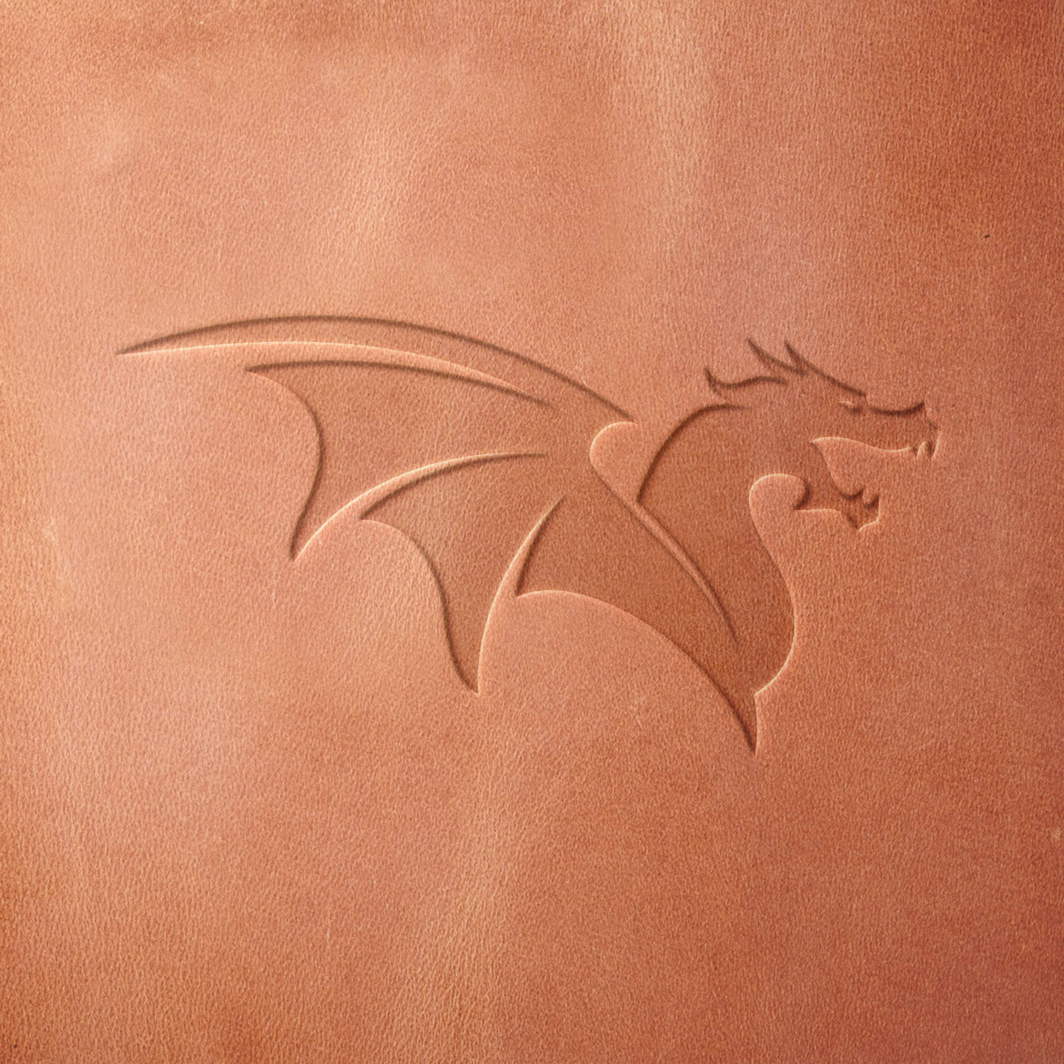 Dragon Delrin Leather Stamp - All Good Leather Co.