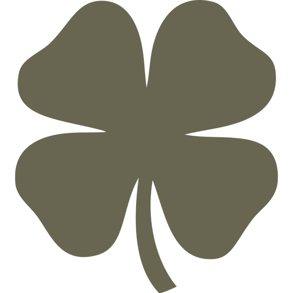 four leaf clover様 リクエスト 3点 まとめ商品 Four Leaf Clover Pocket Stone – The Life Divine