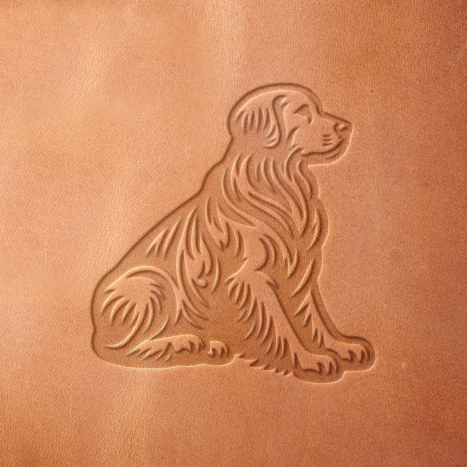 Golden Retriever Dog Delrin Leather Stamp - All Good Leather Co.