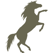 Delrin leather stamp design of a rearing horse in a bold silhouette style.