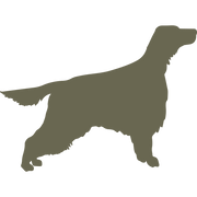 Irish Setter Dog Delrin Leather Stamp - All Good Leather Co.