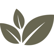 Leaves Delrin Leather Stamp - All Good Leather Co.