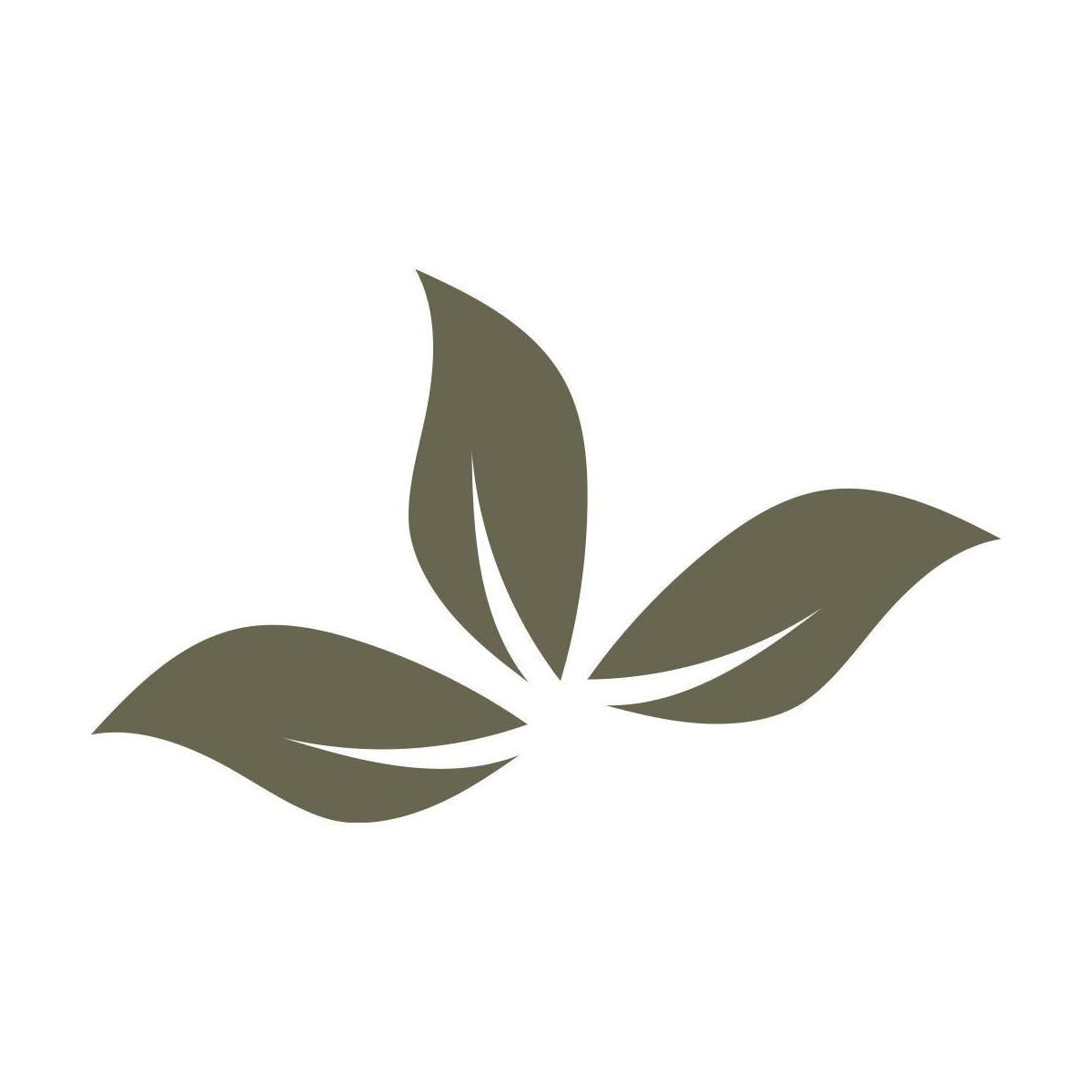 Leaves Delrin Leather Stamp - All Good Leather Co.