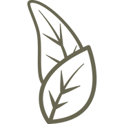 Leaves Delrin Leather Stamp - All Good Leather Co.