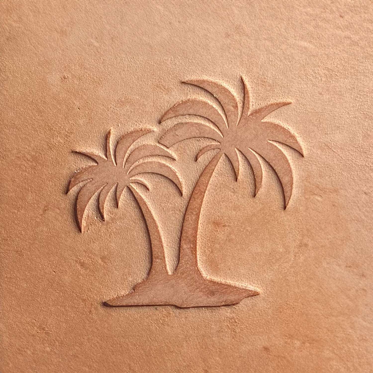 Palm Trees Delrin Leather Stamp - All Good Leather Co.