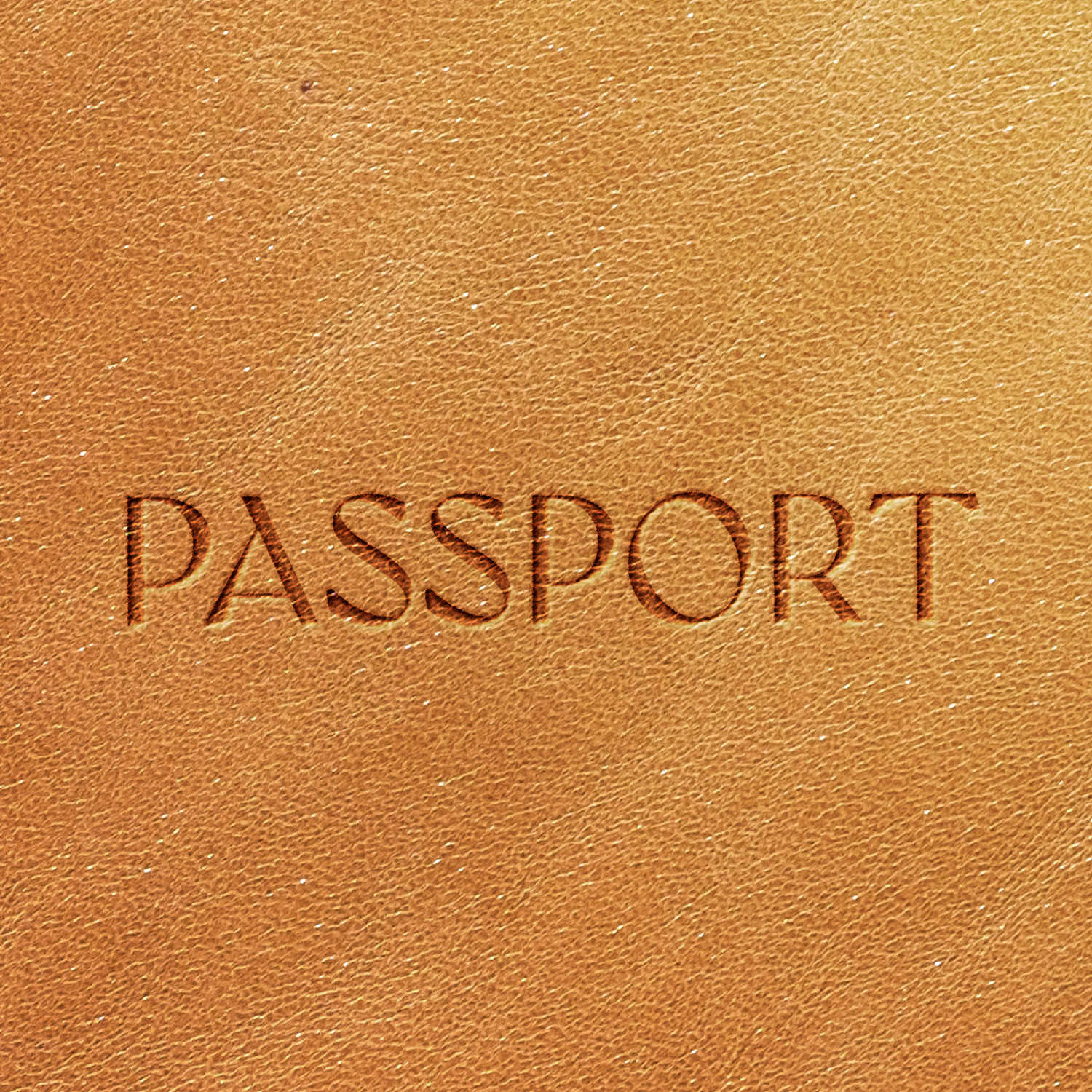 Passport Delrin Leather Stamp - All Good Leather Co.