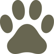 Paw Delrin Leather Stamp - All Good Leather Co.