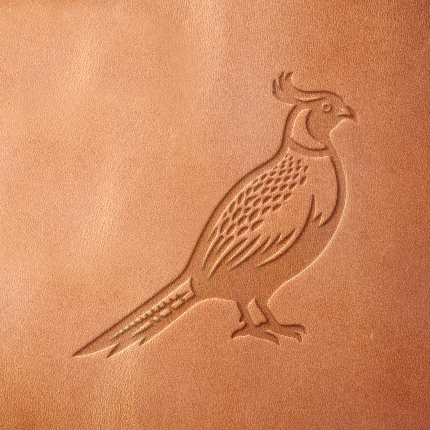 Pheasant Delrin Leather Stamp - All Good Leather Co.