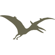 Silhouette illustration of a flying pterodactyl with outstretched wings, designed for use as a Delrin leather stamp.