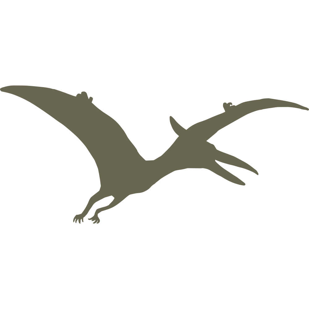 Silhouette illustration of a flying pterodactyl with outstretched wings, designed for use as a Delrin leather stamp.