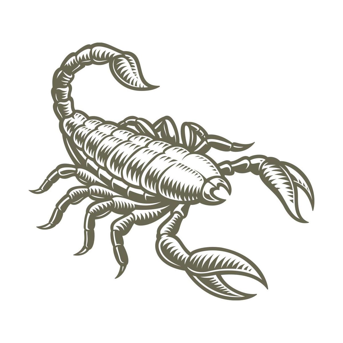 Scorpio Zodiac Sign Scorpion Delrin Leather Stamp - All Good Leather Co.
