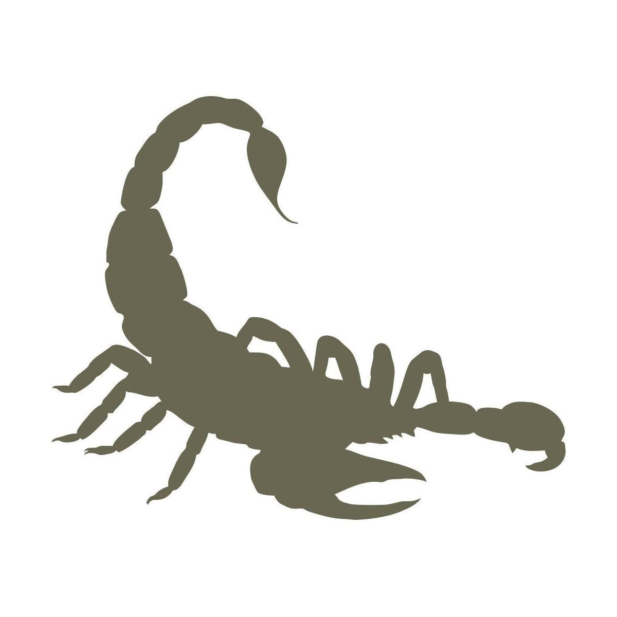 Scorpion Delrin Leather Stamp - All Good Leather Co.