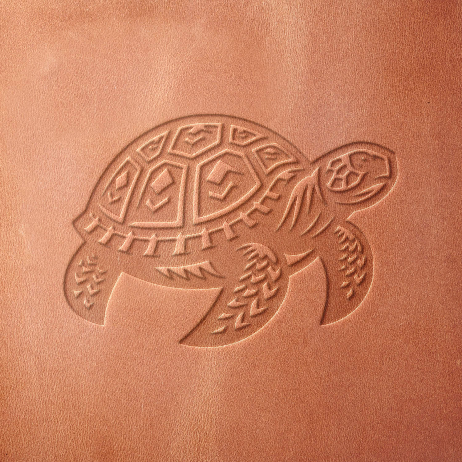 Sea Turtle Delrin Leather Stamp - All Good Leather Co.