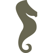 Seahorse Delrin Leather Stamp - All Good Leather Co.