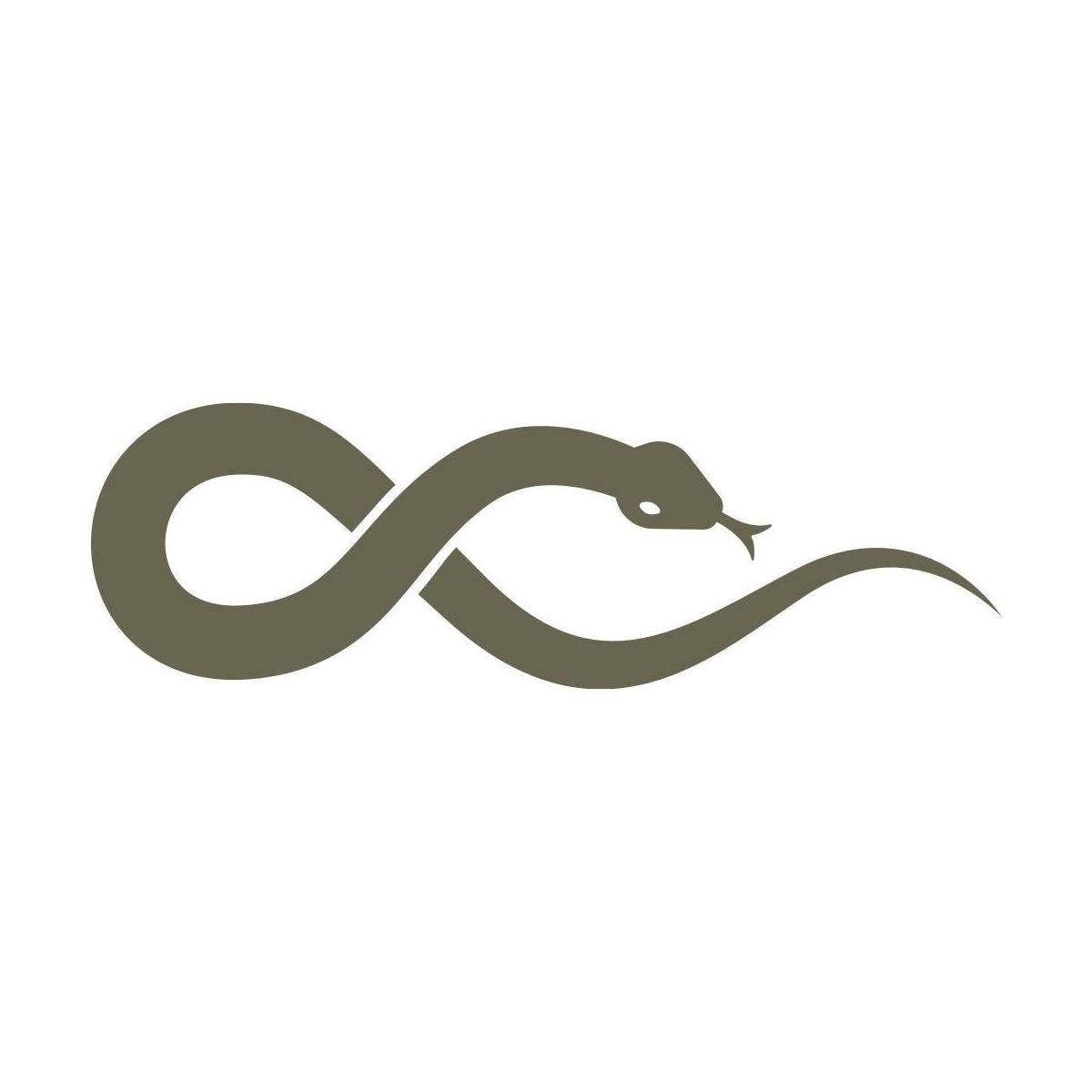 Snake Delrin Leather Stamp - All Good Leather Co.