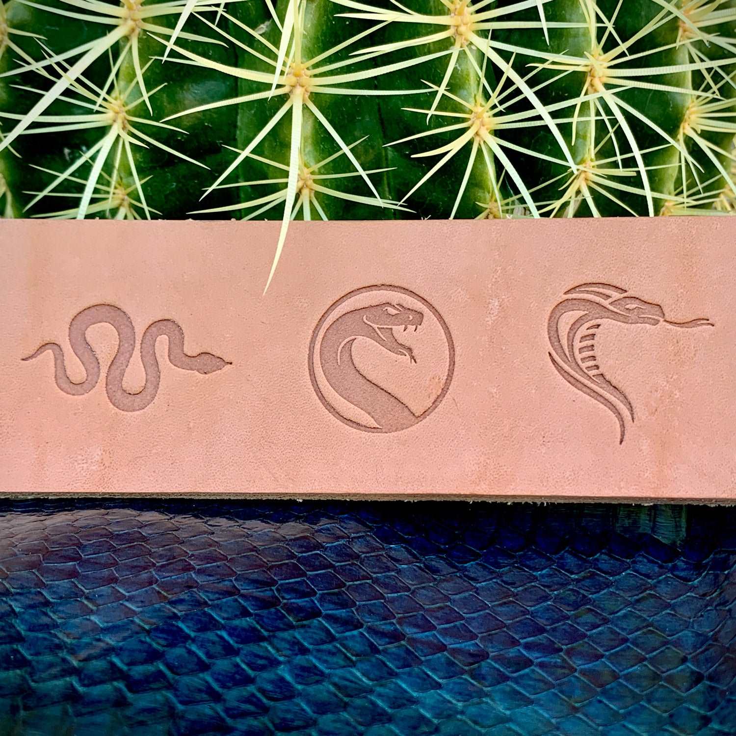 Vegetable-tanned leather strip stamped with multiple snake designs using Delrin leather stamps, photographed with cactus plants.
