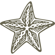 Starfish Delrin Leather Stamp - All Good Leather Co.